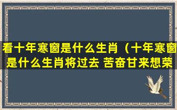 看十年寒窗是什么生肖（十年寒窗是什么生肖将过去 苦奋甘来想荣华）